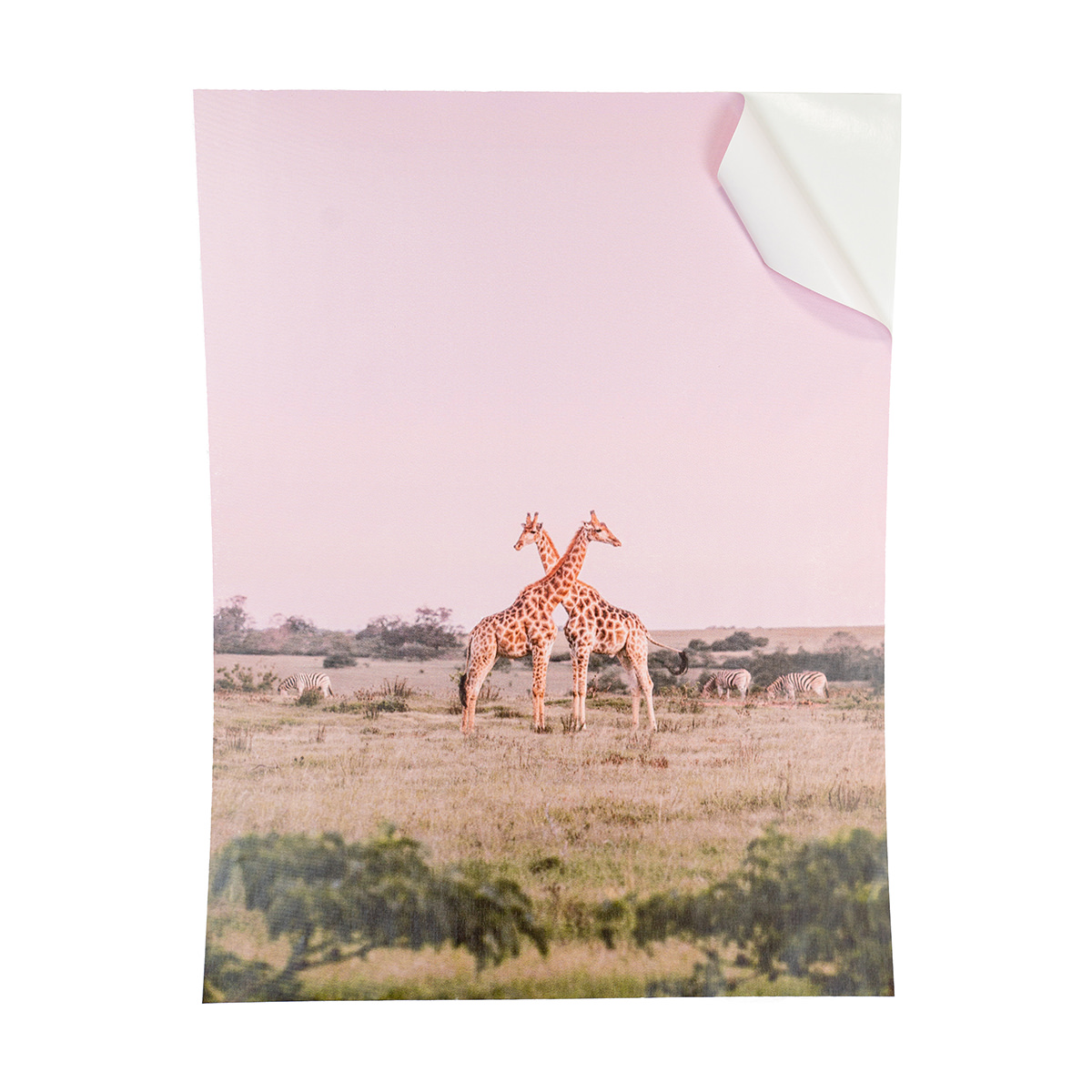 Peel & Stick Prints Easy to Apply & Odor Free Prints for Your Wall