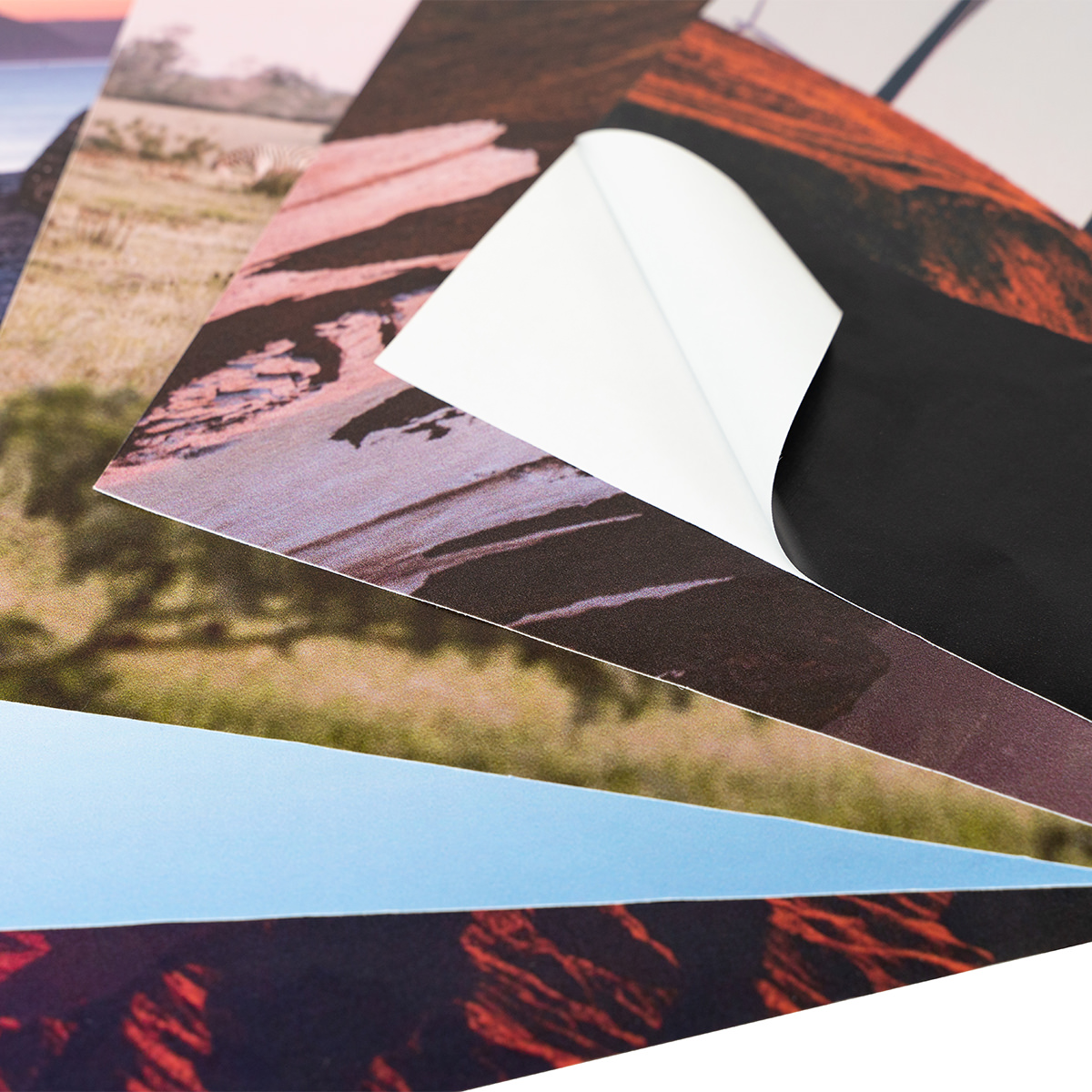 Peel & Stick Prints Easy to Apply & Odor Free Prints for Your Wall